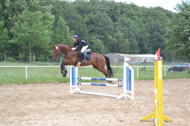 reitertag 2013 53